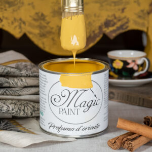 Magic Paint colore 