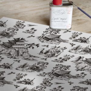 Stampa Trasferibile