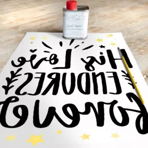 Stampa Trasferibile “SCRIPT, STAR” 28×40 cm