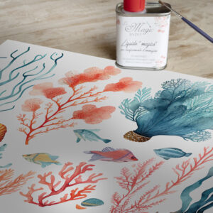 Stampa Trasferibile “BARRIERA CORALLINA” 28×40 cm