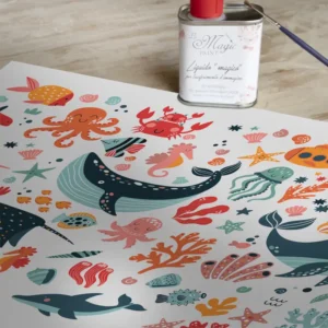 Stampa Trasferibile “AMICI DEL MARE” 28×40 cm