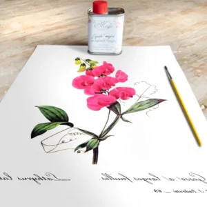 Stampa Trasferibile “BOTANICA, ORCHIDEA” 28×40 cm