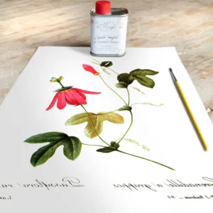 Stampa Trasferibile “BOTANICA, PASSIFLORA” 28×40 cm