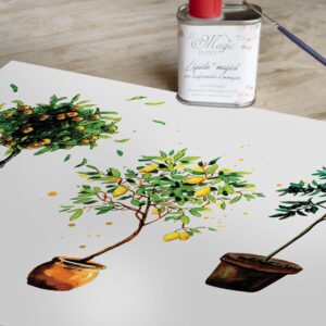 Stampa Trasferibile